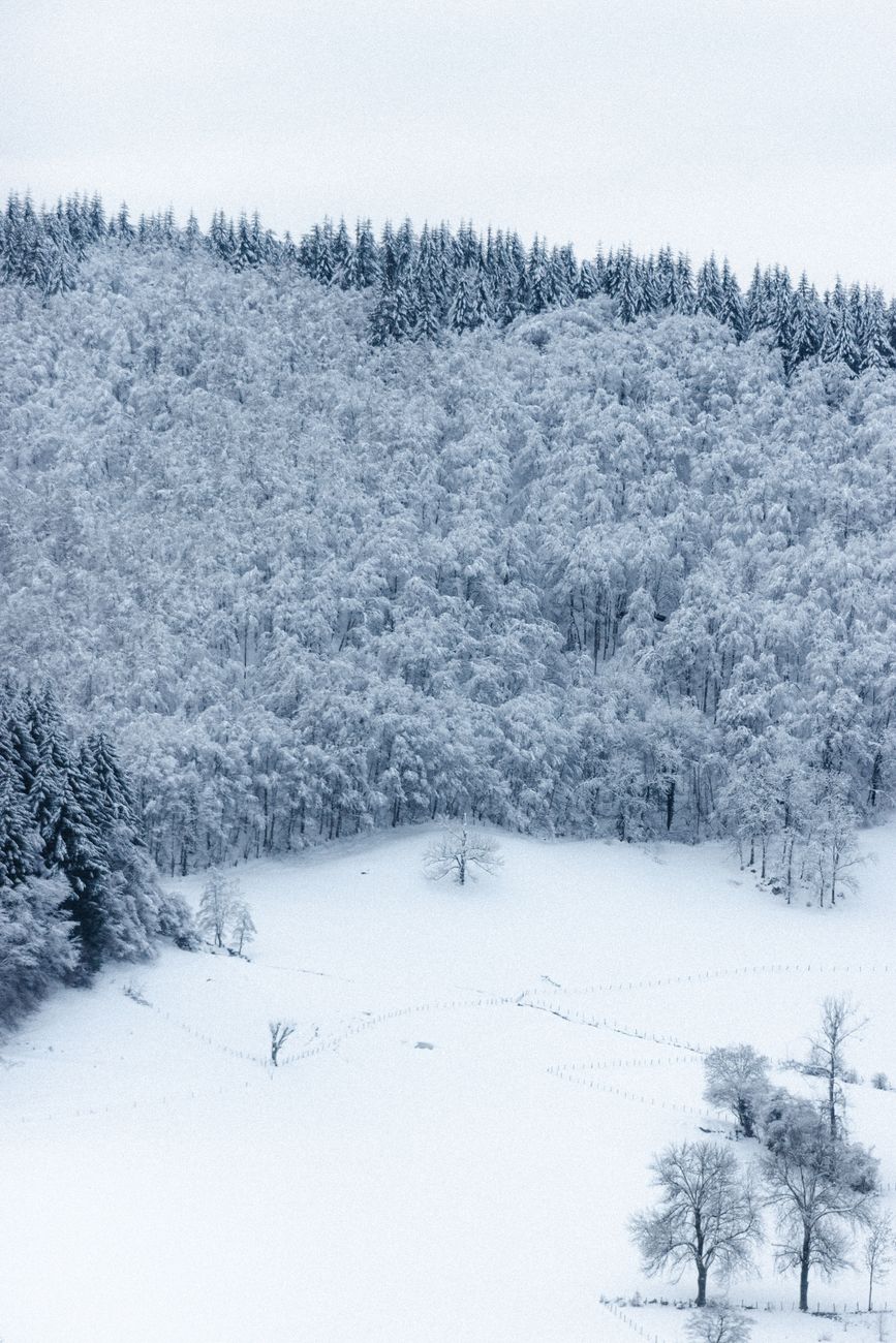 Зима #5