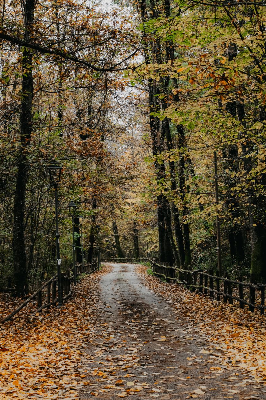 Осень #4