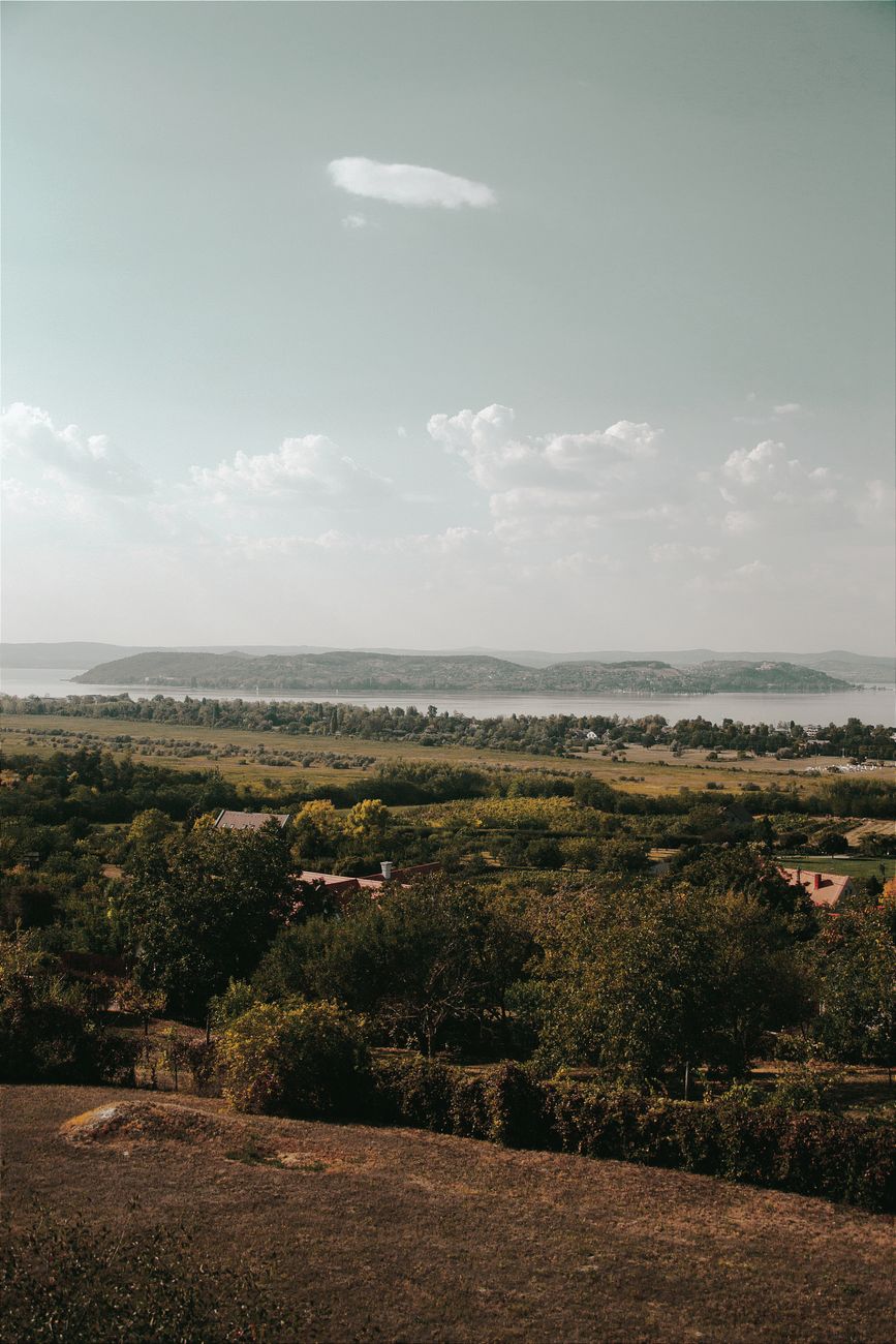 Пейзаж #2